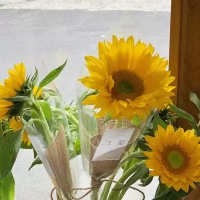 必赢亚洲app下载